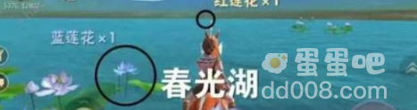《创造与魔法》黑马饲料配方分享