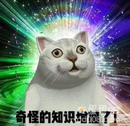 can can need是什么梗