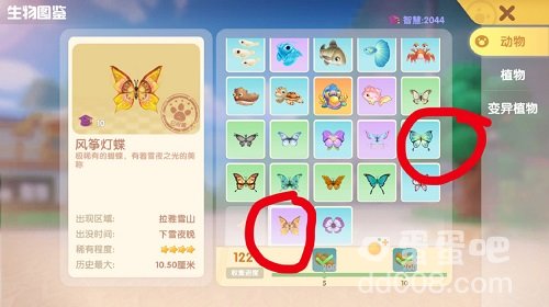 《摩尔庄园》风筝灯蝶位置分享