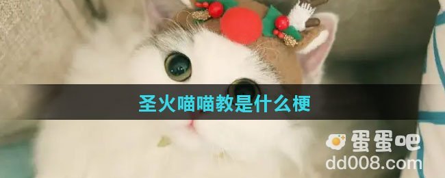 圣火喵喵教是什么梗