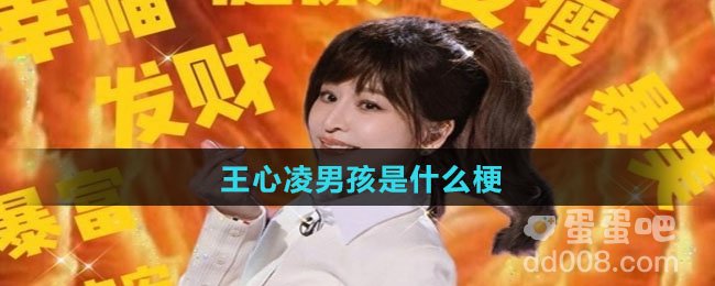 王心凌男孩是什么梗