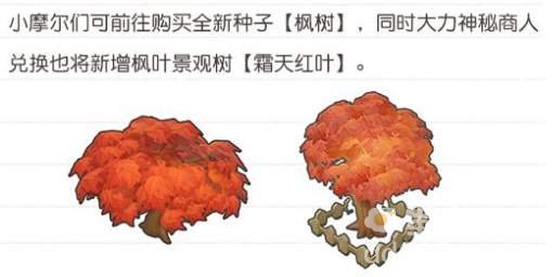 《摩尔庄园》枫叶种子获取方法介绍