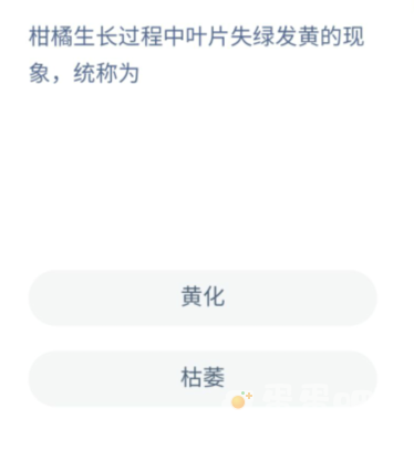 《支付宝》蚂蚁新村小课堂2022年6月10日题目答案