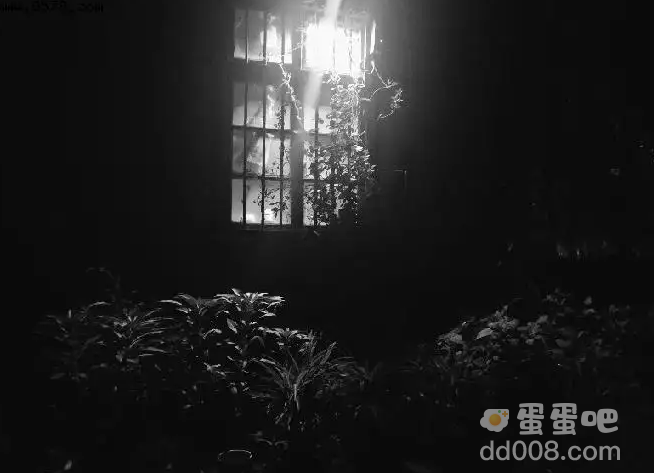毒雾疯长蝉死八年别倒在我大雪封山之前是什么梗
