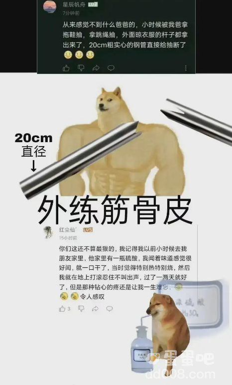 20厘米实心钢管是什么梗