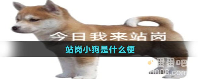 站岗小狗是什么梗