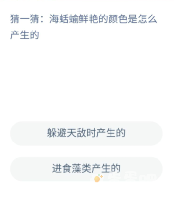 《支付宝》神奇海洋2022年8月10日每日一题答案