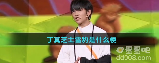 丁真芝士雪豹是什么梗