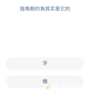 《支付宝》神奇海洋2022年9月1日每日一题答案