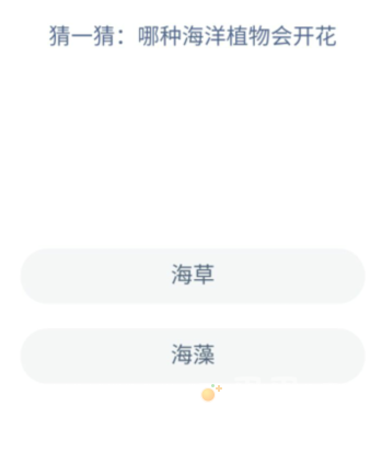 《支付宝》神奇海洋2022年9月2日每日一题答案