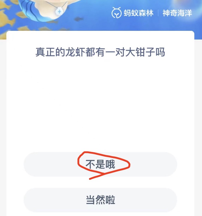 《支付宝》神奇海洋2022年9月24日每日一题答案