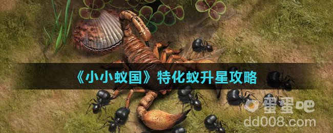 《小小蚁国》特化蚁升星攻略