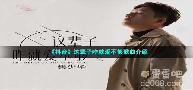 《抖音》这辈子咋就爱不够歌曲介绍