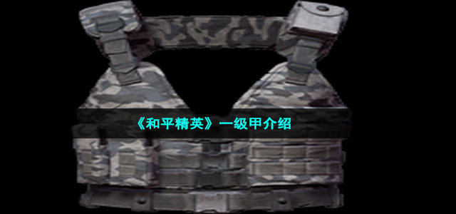 《和平精英》一级甲介绍