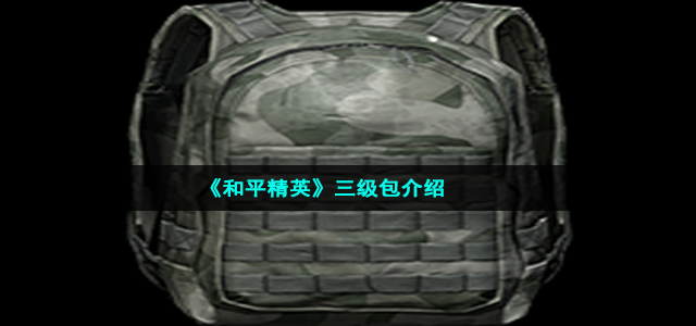 《和平精英》三级包介绍