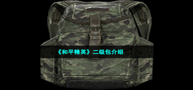 《和平精英》二级包介绍