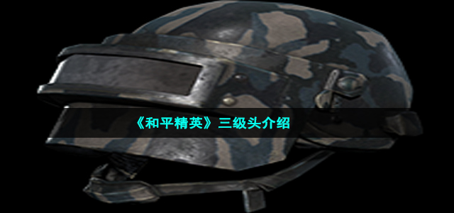 《和平精英》三级头介绍