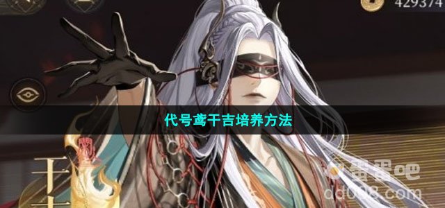 代号鸢干吉培养方法