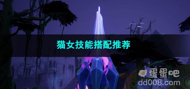 火炬之光无限猫女技能搭配推荐