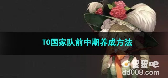 重返未来1999T0国家队前中期养成方法