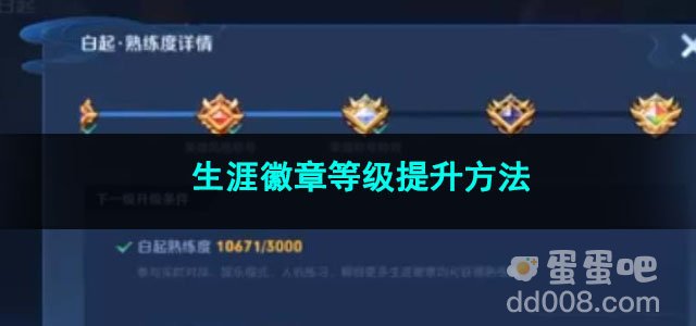 王者荣耀生涯徽章等级提升方法