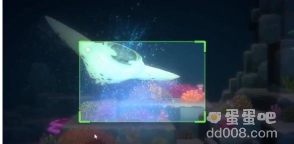 潜水员戴夫拍照方法