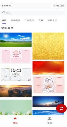 白鸽壁纸