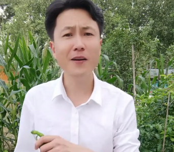 《抖音》中国人自己的大力王梗的意思介绍