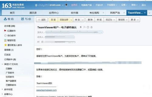 teamviewer绿色版