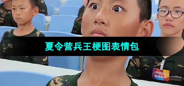 《抖音》夏令营兵王梗图表情包分享