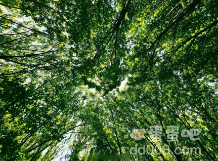 《抖音》交换夏天没有反应的原因