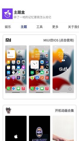 主题盒免更新会员版