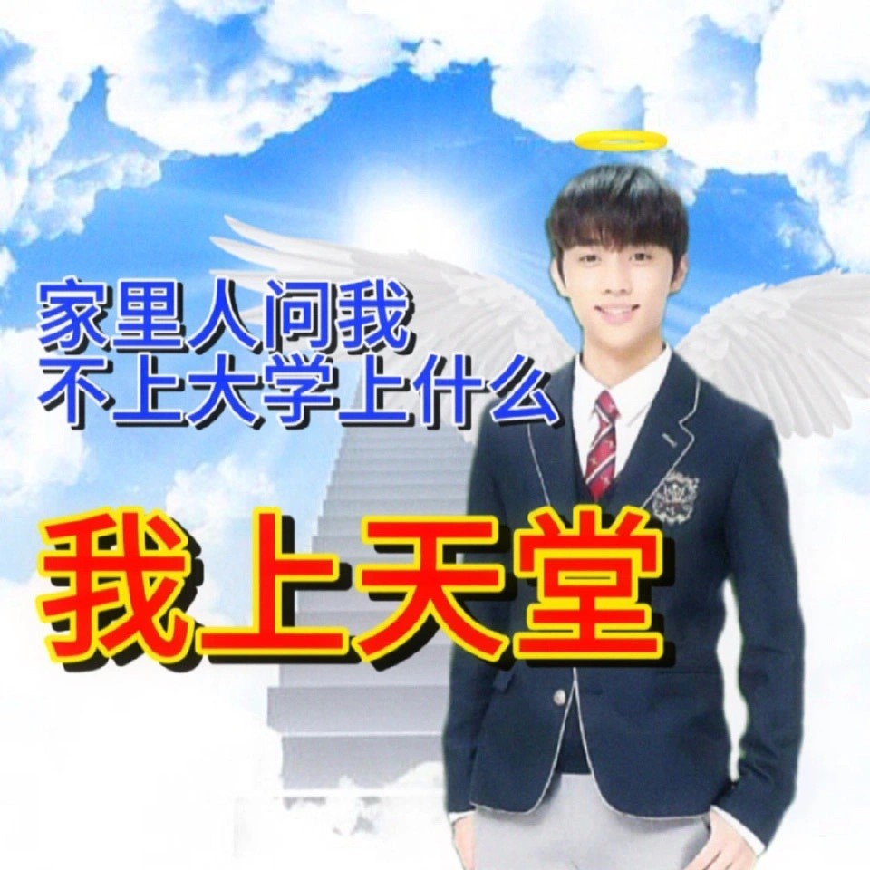 《抖音》金善旴表情包梗图表情包分享