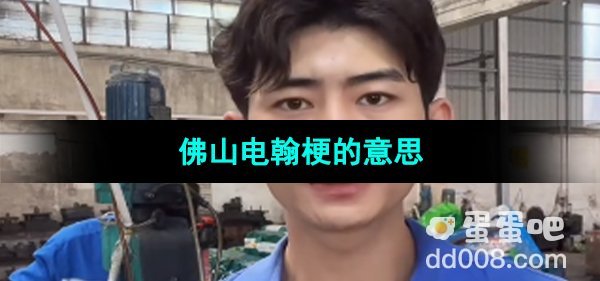 《抖音》佛山电翰梗的意思介绍