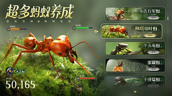 小小蚁国兑换码无限领版
