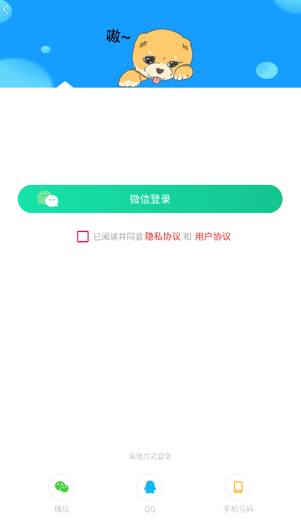 内个段仔
