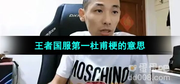 旭旭宝宝王者国服第一杜甫梗的意思介绍