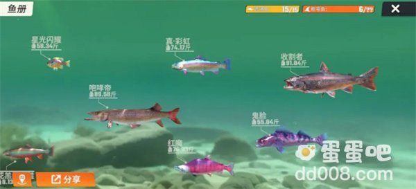 《欢乐钓鱼大师》全部鱼种介绍