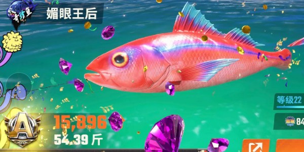 《欢乐钓鱼大师》全部鱼种介绍