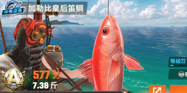 《欢乐钓鱼大师》全部鱼种介绍