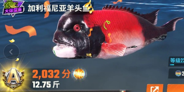 《欢乐钓鱼大师》全部鱼种介绍