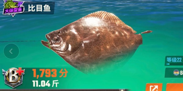 《欢乐钓鱼大师》全部鱼种介绍