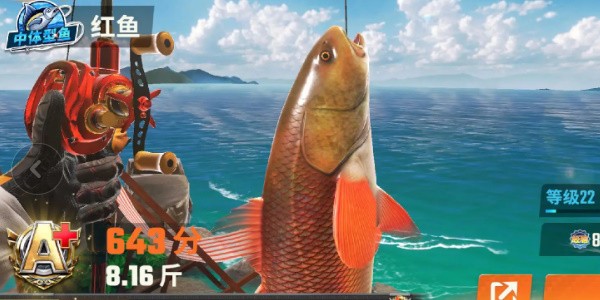 《欢乐钓鱼大师》全部鱼种介绍