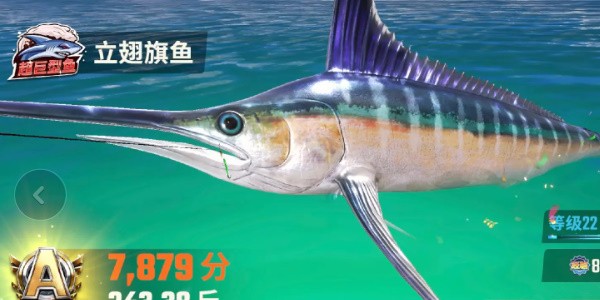 《欢乐钓鱼大师》全部鱼种介绍