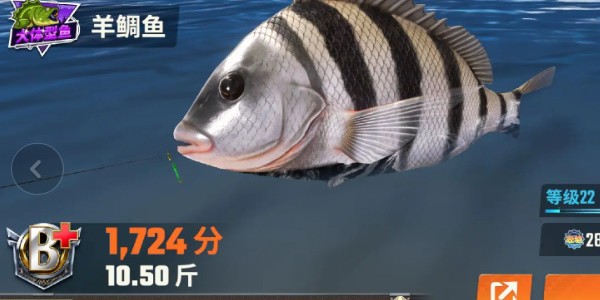 《欢乐钓鱼大师》全部鱼种介绍