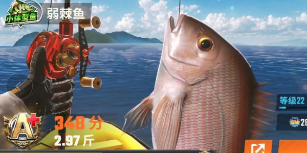 《欢乐钓鱼大师》全部鱼种介绍