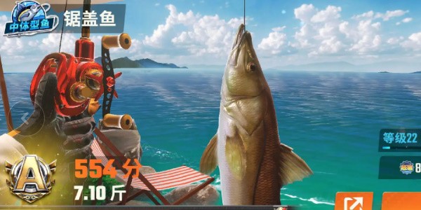 《欢乐钓鱼大师》全部鱼种介绍