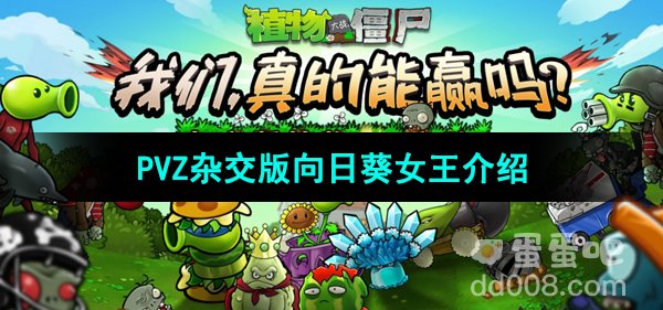 《植物大战僵尸杂交版》向日葵女王介绍
