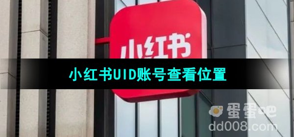 《小红书》UID账号查看位置