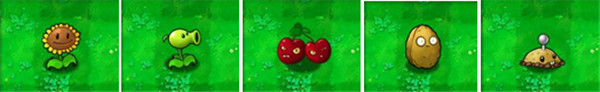 植物大战僵尸龙珠版